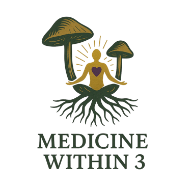 Medicine Within 3 logo
