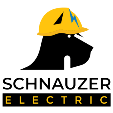 Schnauzer Electric logo