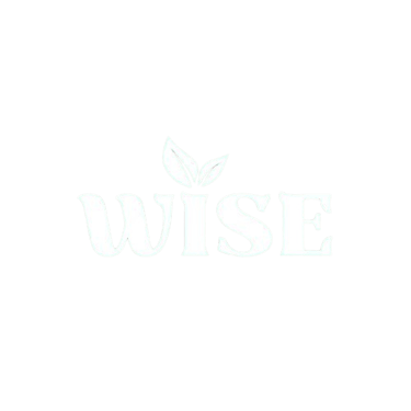 WISE DRINK logo