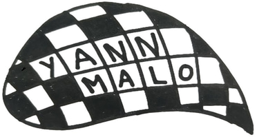 Yann Malo : guide conférencier et accordéoniste logo