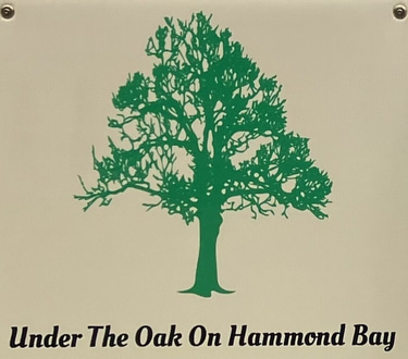 Camping at Under The Oak On Hammond Bay, Lake Huron logo