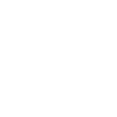 Internal Detailing logo