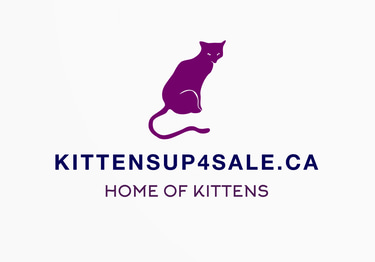 Ragdoll kittens For Sale logo