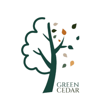 Success Oyeshola logo