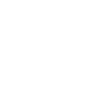 Piel Canela logo