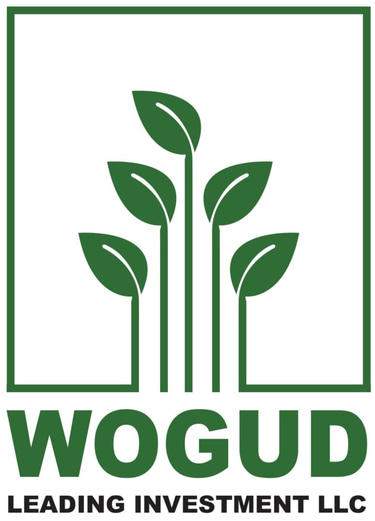 شركة وجود الرائدة للاستثمار logo