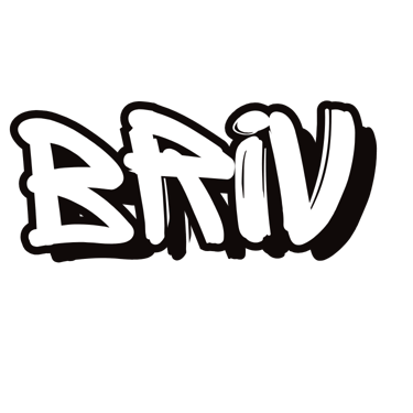 Briv Marketing Solutions logo