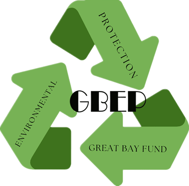 大湾区环保慈善基金会 logo