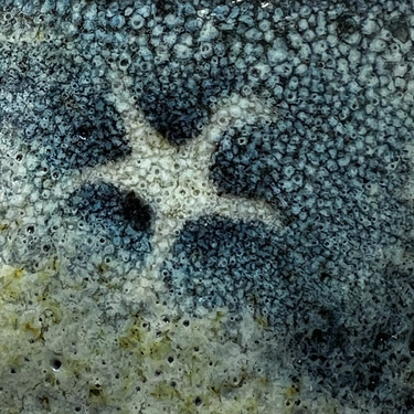 Earth Mould logo