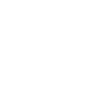 Iness Gallery logo