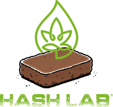 hash lab logo