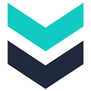 VertaLink Global Services Pvt Ltd. logo