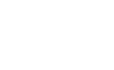 naskagrupoinmobiliario logo
