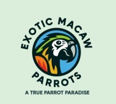 EXOTIC MACAW PARROTS PARADISE logo