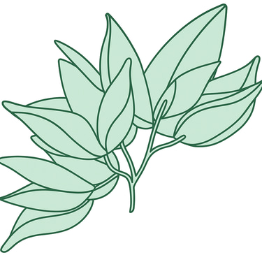 Gyvos Terasos logo