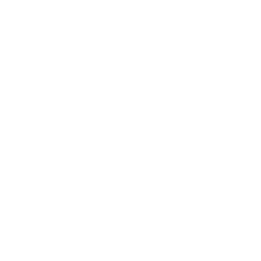 CONSULTOR ORLANDO logo
