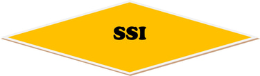 solutions seal indonesia logo