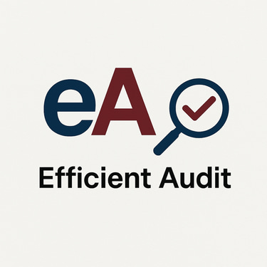 Efficient Audit logo