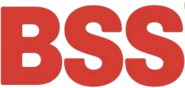 BSS CORPORATION logo