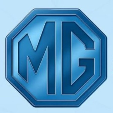 MG assistência técnica logo
