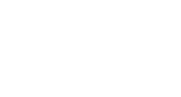 Vizrd logo