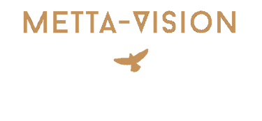 Metta-vision logo
