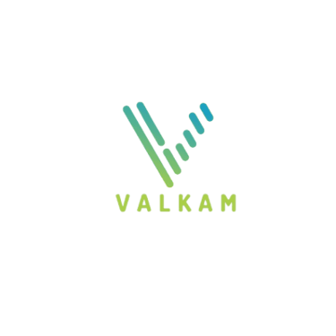 VALKAM ONLINE SERVICES PRIVATE  LIMITED logo