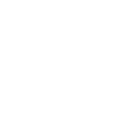 Escuela Shaolin Boxing logo