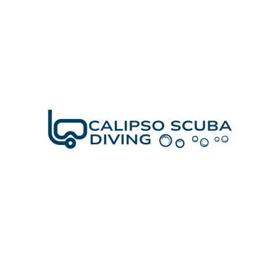 Zihuatanejo Diving logo