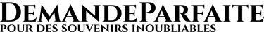 demandeparfaite logo