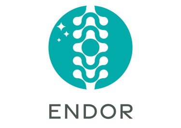 Centro Endor logo