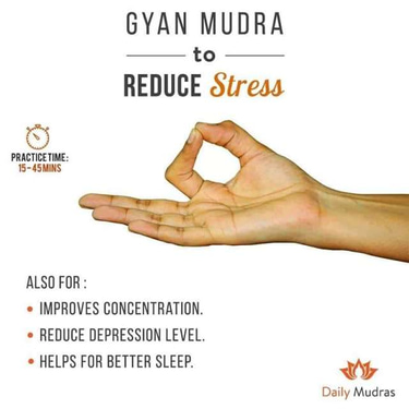 Indian Vedic Astrology Numerology Prasnam logo