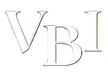 Estudio VBI logo