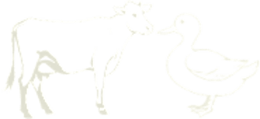 Andy & Katharine's Wedding logo