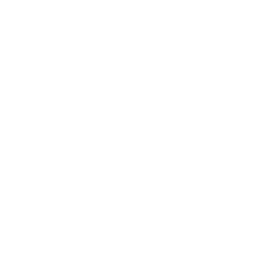 Robert Elagage 31 logo
