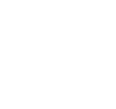 WISELIER logo