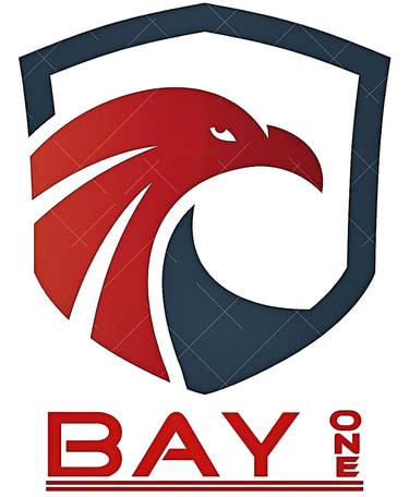 Bay One Sports logo