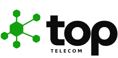 Top Conexões logo