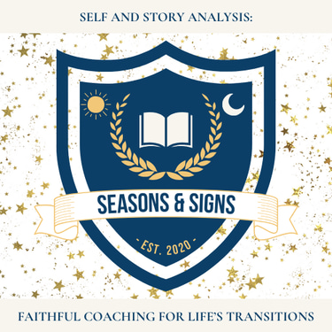 Self and Story Analysis logo