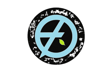 iFlaws logo
