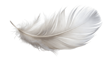 Louise Mac Sweeney – Civil Funeral Celebrant logo