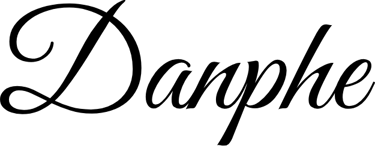 Danphe Technology Solutions logo