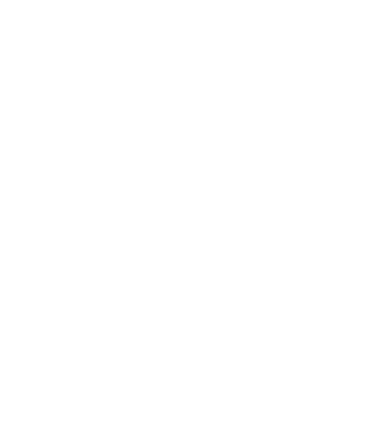 NEXT LEVEL COACHING AND PERSONAL TRAINING logo