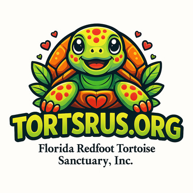 Torts R Us logo