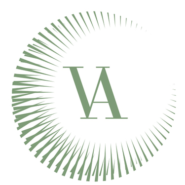 The VA Effect logo