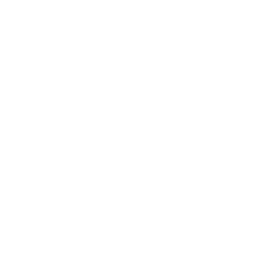 altfotos logo