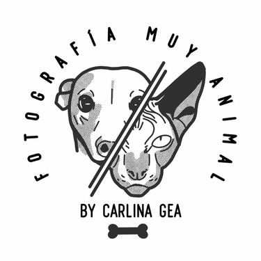 Fotografia muy animal logo