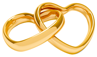 Drogaria Aliança logo