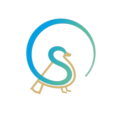 Success Sparrow Consultancy logo