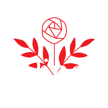 Pina fotografka logo